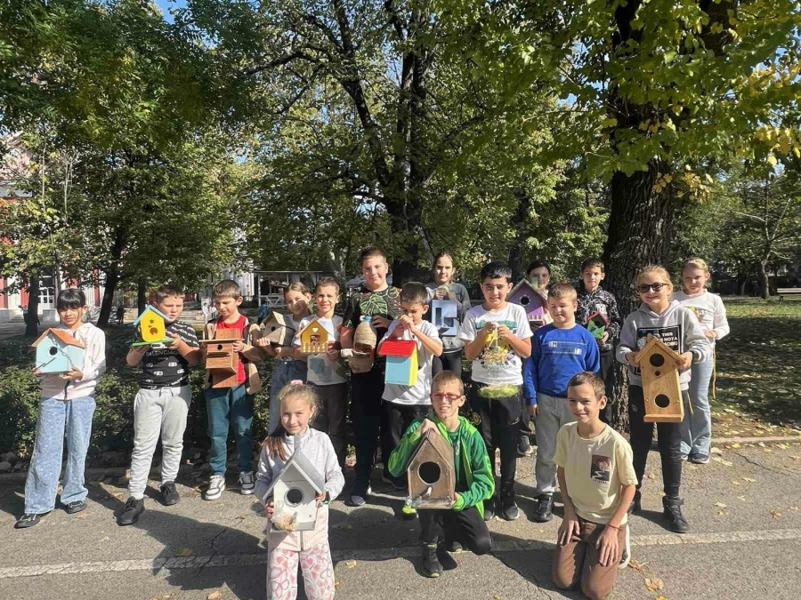Проект „Къщичка за птици“