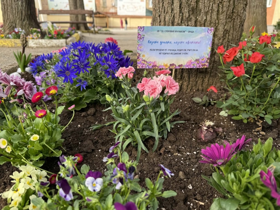 „Цветна пролет“ оживя в двора на НУ „Св. Софроний Врачански“- Враца